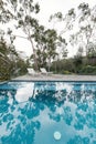 Oasis of an Australian backyard swimming pool surrounded by native gum trees Royalty Free Stock Photo