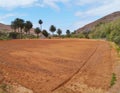 The oasis Barranca de la Madre of Ajui Royalty Free Stock Photo