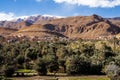 Oasis in the Dades Valley, also known as the Valley of the Roses, Morocco Royalty Free Stock Photo
