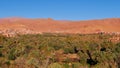 Oasis with date palm trees in the southern Altas Mountains in Berber city Tinghir, Morocco with historic loam houses.