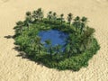 Oasis in the desert