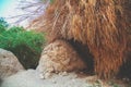 Oasis in the desert. Ein Gedi nature reserve Royalty Free Stock Photo