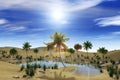 Oasis in the desert, palm trees and lake Royalty Free Stock Photo