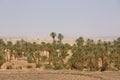 Oasis in the desert of Sahara, Tata Royalty Free Stock Photo