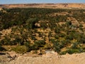 An oasis in the desert of Taghit, Algeria Royalty Free Stock Photo