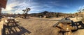 Oasis in the Desert: A Tranquil Rest Stop near Joshua Tree