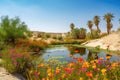 oasis in the desert, with vibrant and colorful flowers blooming among the heat