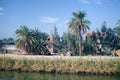 Oasis in Egypt