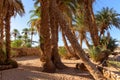 The oasis, Erg Gegaga, Morroco Royalty Free Stock Photo