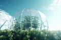 Oasis of the Future: A Glowing Greenhouse Under a Blue Sky
