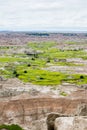 Oasis of Green in the Badlands