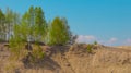 Oasis with green trees in the sandy desert on the edge of the cliff, birch Royalty Free Stock Photo
