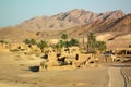 Arousan Oasis in Iran central desert Royalty Free Stock Photo