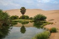 Oasis of Huacachina, Ica region, Peru. Royalty Free Stock Photo