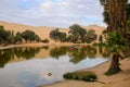 Oasis of Huacachina, Ica region, Peru.