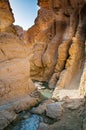 Oasis in the middle of Sahara Desert Royalty Free Stock Photo