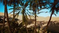 Oasis at the moroccan desert dunes