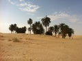 Oasis in the Sahara desert