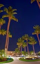 Oasis with palms in the night - digitally created artwork
