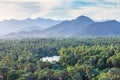 An oasis pond in palm trees near Mulege in Baja Royalty Free Stock Photo