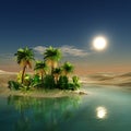 Oasis. sunset in the desert. Royalty Free Stock Photo