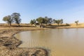 Oasis in Thar Desert, located close to Jaisalmer, the Golden City in India