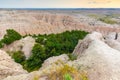 An oasis of trees in an eroded valley in Badlands National Park looks like a bowl full of salad. Royalty Free Stock Photo