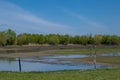 oasis wwf la francesa protected reserve for the protection of flora and fauna Royalty Free Stock Photo