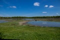 oasis wwf la francesa protected reserve for the protection of flora and fauna Royalty Free Stock Photo