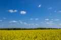 oasis wwf la francesa protected reserve for the protection of flora and fauna Royalty Free Stock Photo