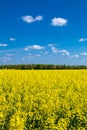 oasis wwf la francesa protected reserve for the protection of flora and fauna Royalty Free Stock Photo