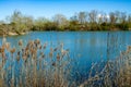 oasis wwf la francesa protected reserve for the protection of flora and fauna Royalty Free Stock Photo