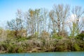 oasis wwf la francesa protected reserve for the protection of flora and fauna Royalty Free Stock Photo