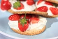 Oat buiscits with cream and fresh strawberries, close up Royalty Free Stock Photo