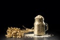 Oat bunch and flakes in flavouring jar, on black background. Grain bouquet, golden oats spikelets on dark wooden table, c