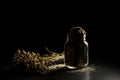 Oat bunch and flakes in flavouring jar Royalty Free Stock Photo