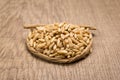 Oat cereal grain. Paper rope around grain. Selective focus.