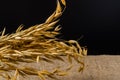 Oat cereal grain on sackcloth Royalty Free Stock Photo