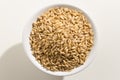 Oat cereal grain. Top view of grains in a bowl. White background Royalty Free Stock Photo