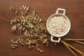 Oat ears stems and oat flakes in a white pot on a dark brown wood background. Top view. oat flakes small size grind. Useful fiber-