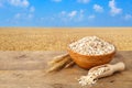 Oat flakes in bowl with field on the background Royalty Free Stock Photo