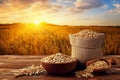 oat flakes in bowl and grains in sack on table with ripe cereal field on sunset as background Royalty Free Stock Photo