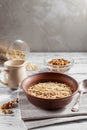 Oat flakes in brown clay bowl ready to cook Royalty Free Stock Photo