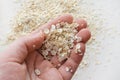 Oat flakes in female hand