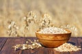 Oat flakes and field Royalty Free Stock Photo