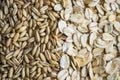 Oat flakes,oat grains