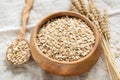 Oat flakes, rolled oats in wooden bowl Royalty Free Stock Photo