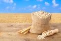 Oat flakes in sack with field on the background Royalty Free Stock Photo