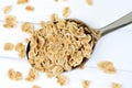 Oat flakes in silver spoon