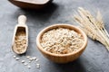 Oat flakes in wooden bowl and golden wheat ears Royalty Free Stock Photo